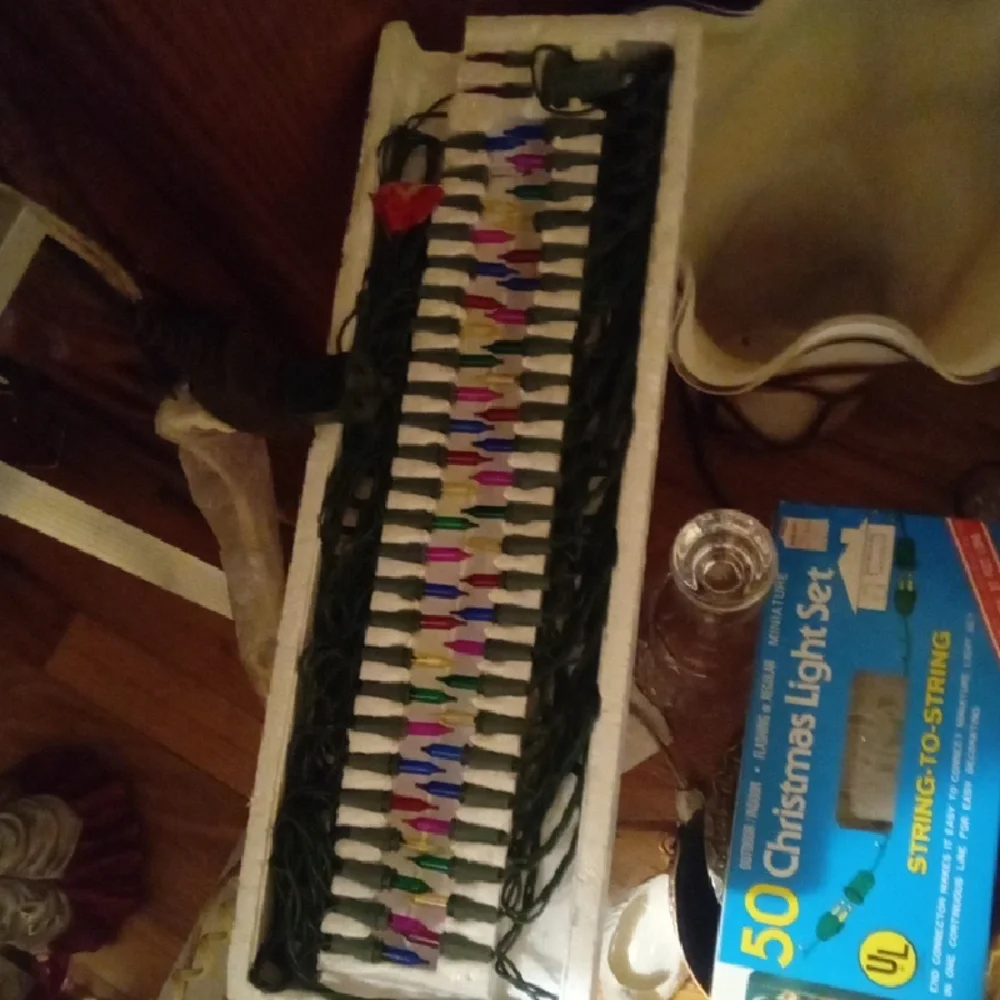 JoyBrite 50-Count String Lights - Multicolor 1981